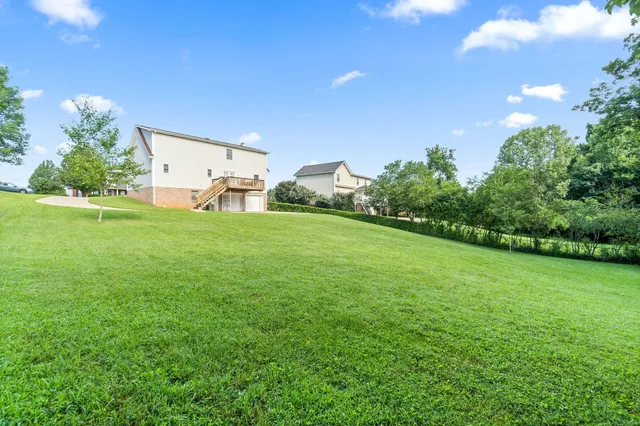 a backyard of a house with plants and large trees
