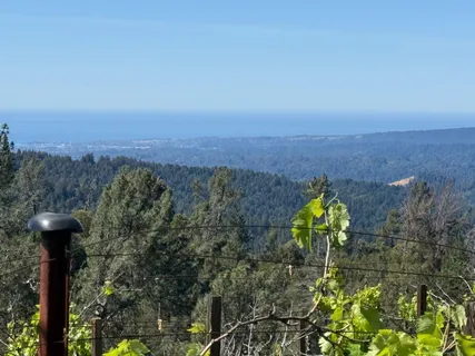 $2,400,000 | 28320 Loma Prieta Way, Los Gatos, CA 95033