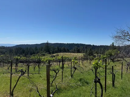 $2,400,000 | 28320 Loma Prieta Way, Los Gatos, CA 95033