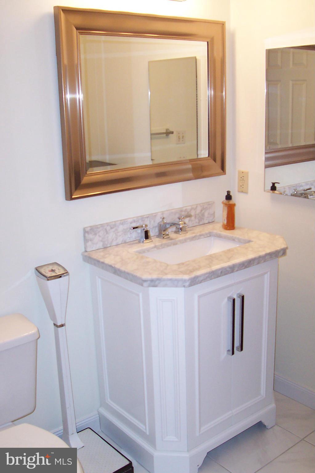 445 Pleasanton Road, Unit C23 Westminster, MD 21157 - Photo 19 of 21 Bath (Master)