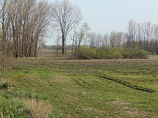 2500 West Haslett Road Perry, MI 48872 - Photo 16 of 18 DSCN3364