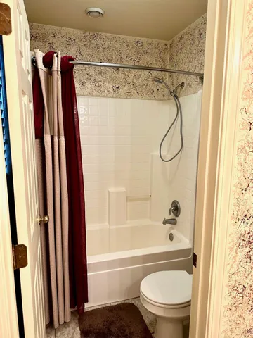 a bathroom with a shower a toilet and a window