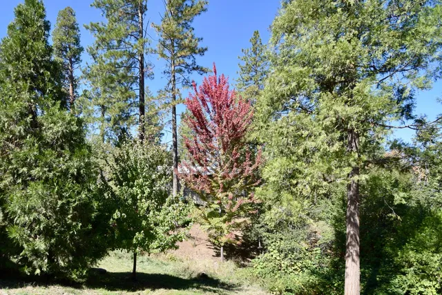 $549,000 | 39314 Manzanita Drive, Oakhurst, CA 93644