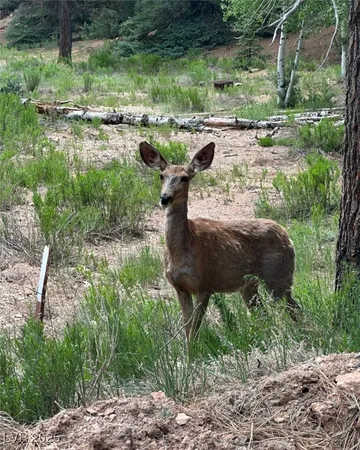 $117,000 | 1275 North Piute Drive, Duck Creek Village, UT 84762
