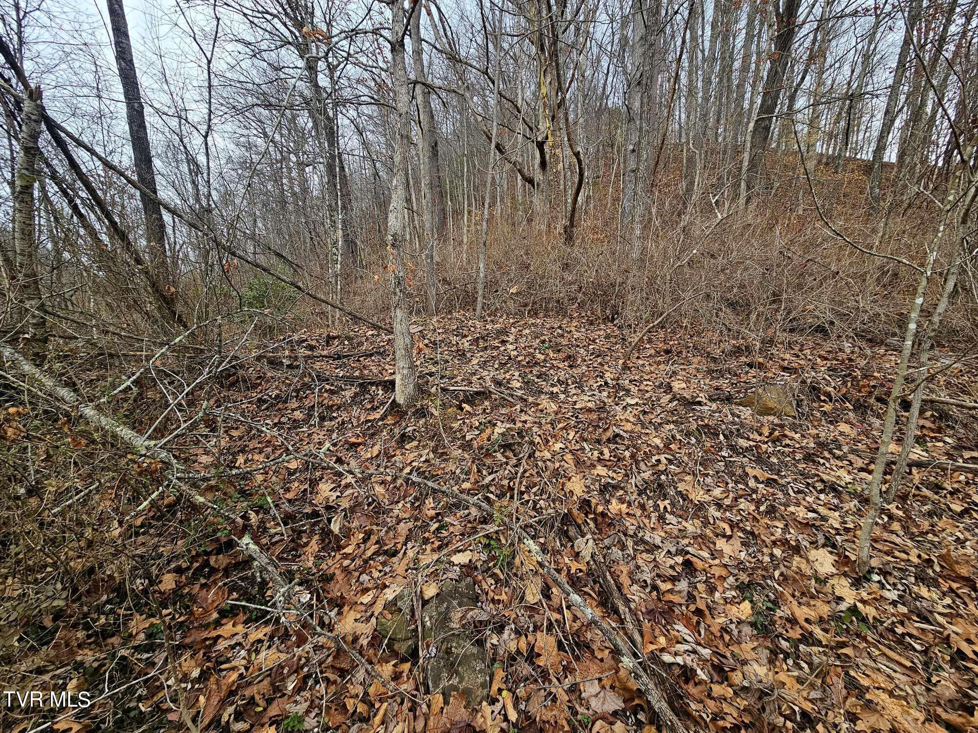 Tbd Ridge Avenue Appalachia, VA 24216 - Photo 1 of 5 1