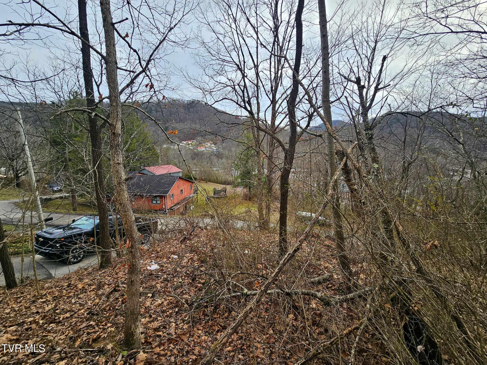 Tbd Ridge Avenue Appalachia, VA 24216 - Photo 2 of 5 2