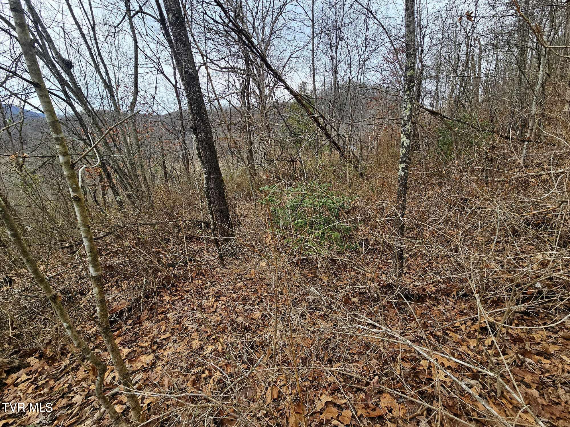 Tbd Ridge Avenue Appalachia, VA 24216 - Photo 3 of 5 3