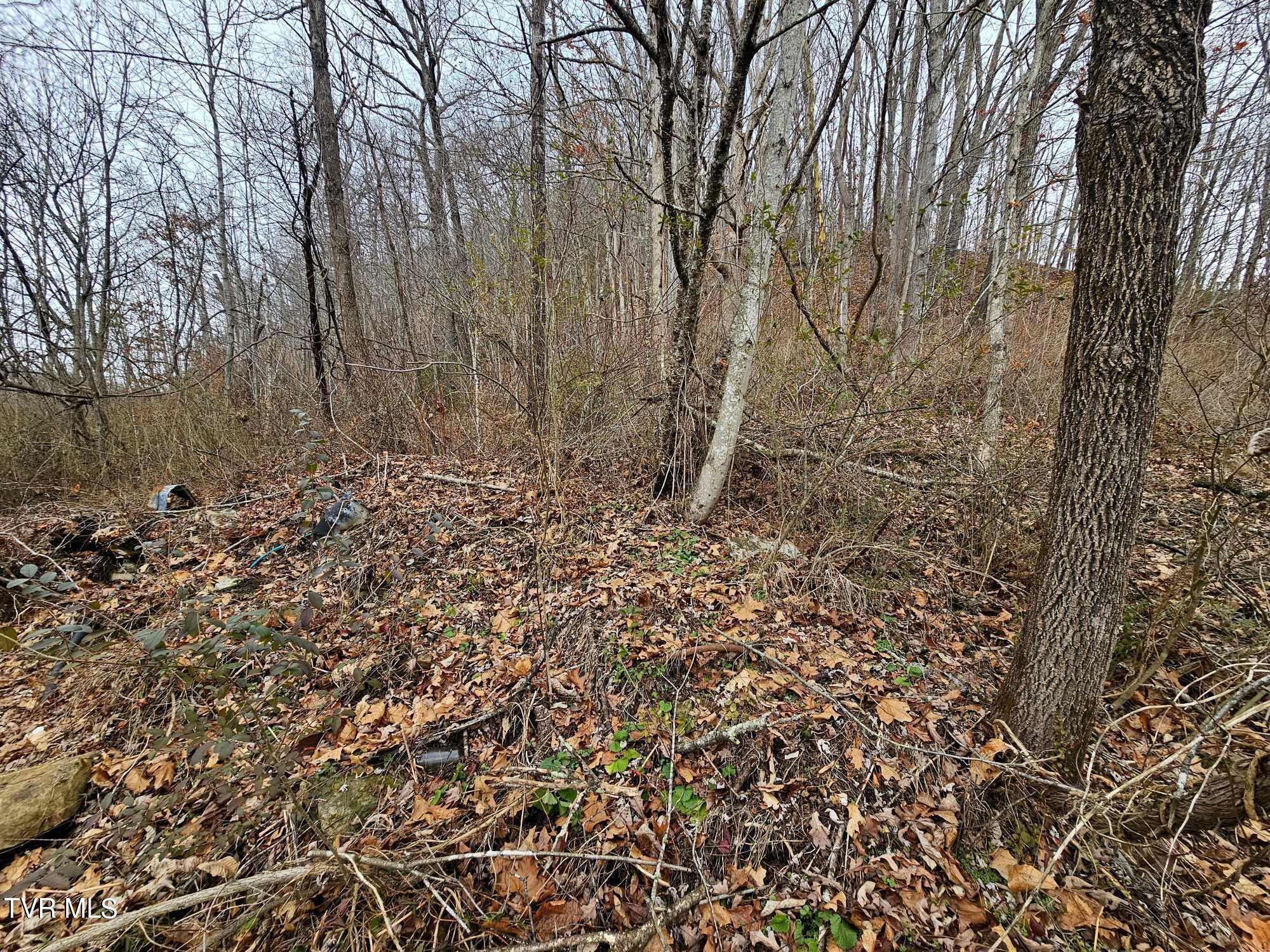 Tbd Ridge Avenue Appalachia, VA 24216 - Photo 4 of 5 4