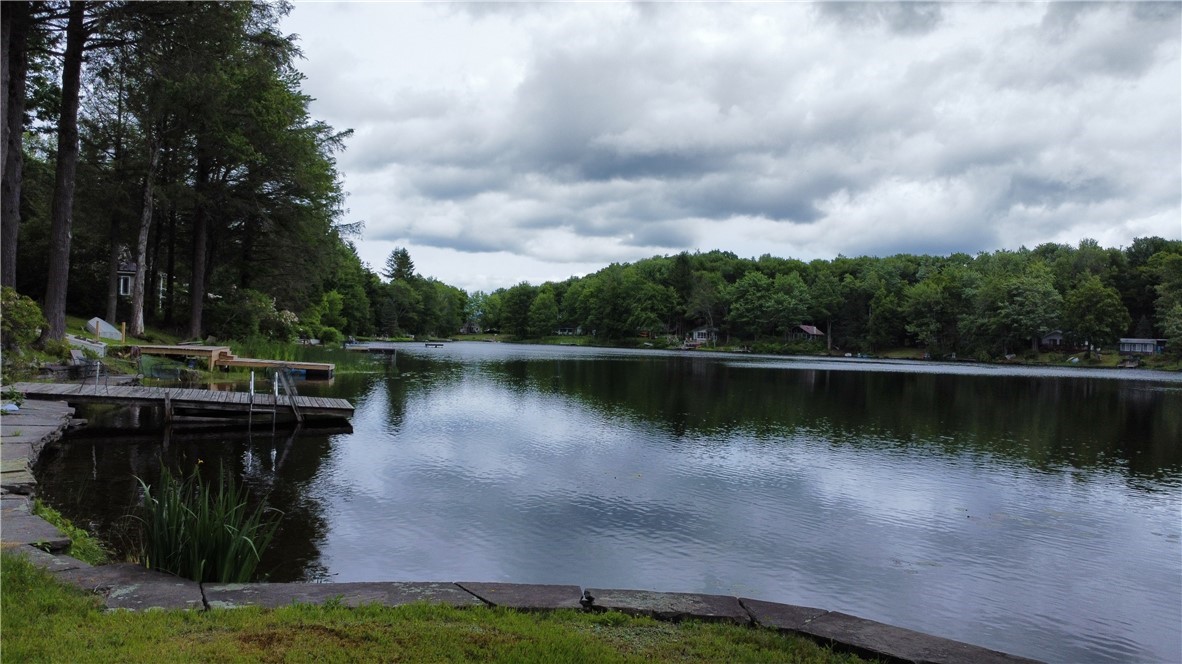 604 Laurel Lake Road Deposit, NY 13754 - Photo 6 of 13