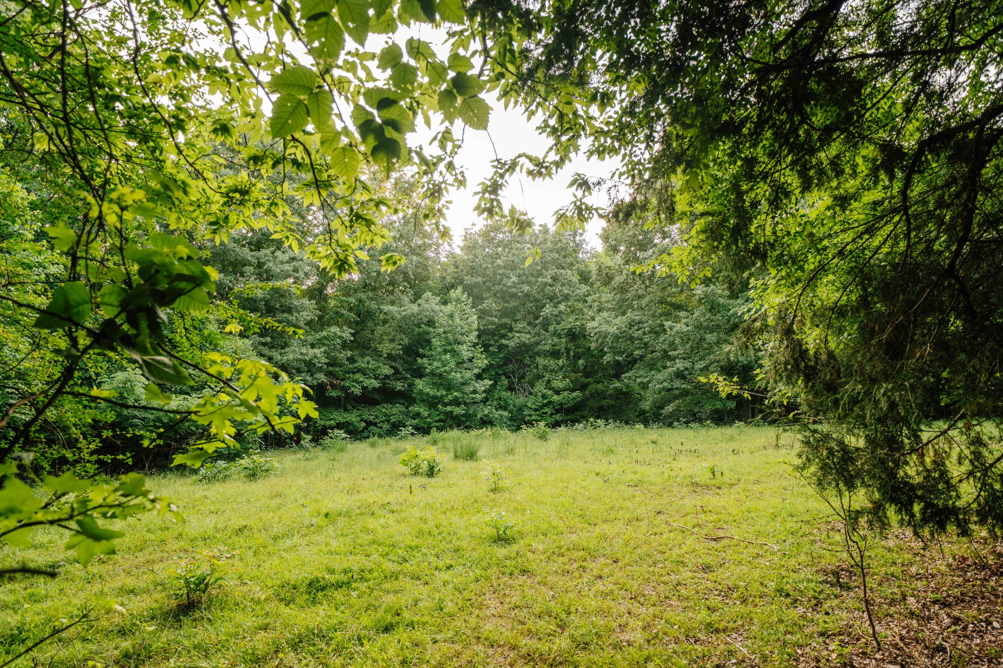 500 Case Road Prospect, TN 38477 - Photo 76 of 98