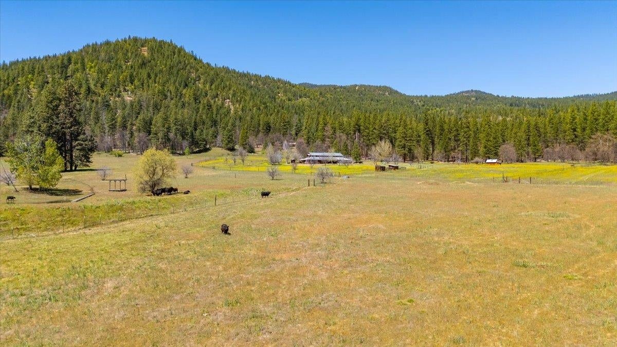 9515 Scott River Road Fort Jones, CA 96032 - Photo 28 of 47 Gallery Image 28