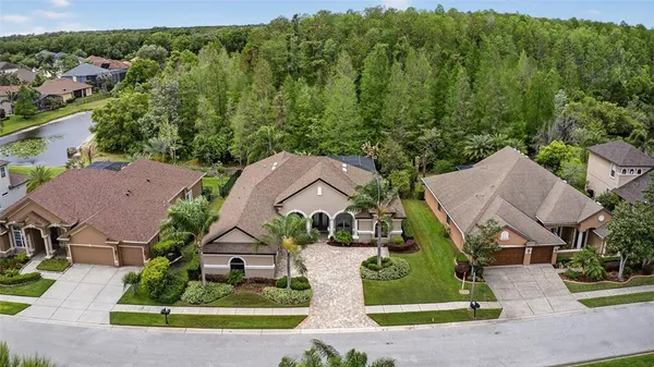 $825,000 | 1607 Abyss Drive, Odessa, FL 33556