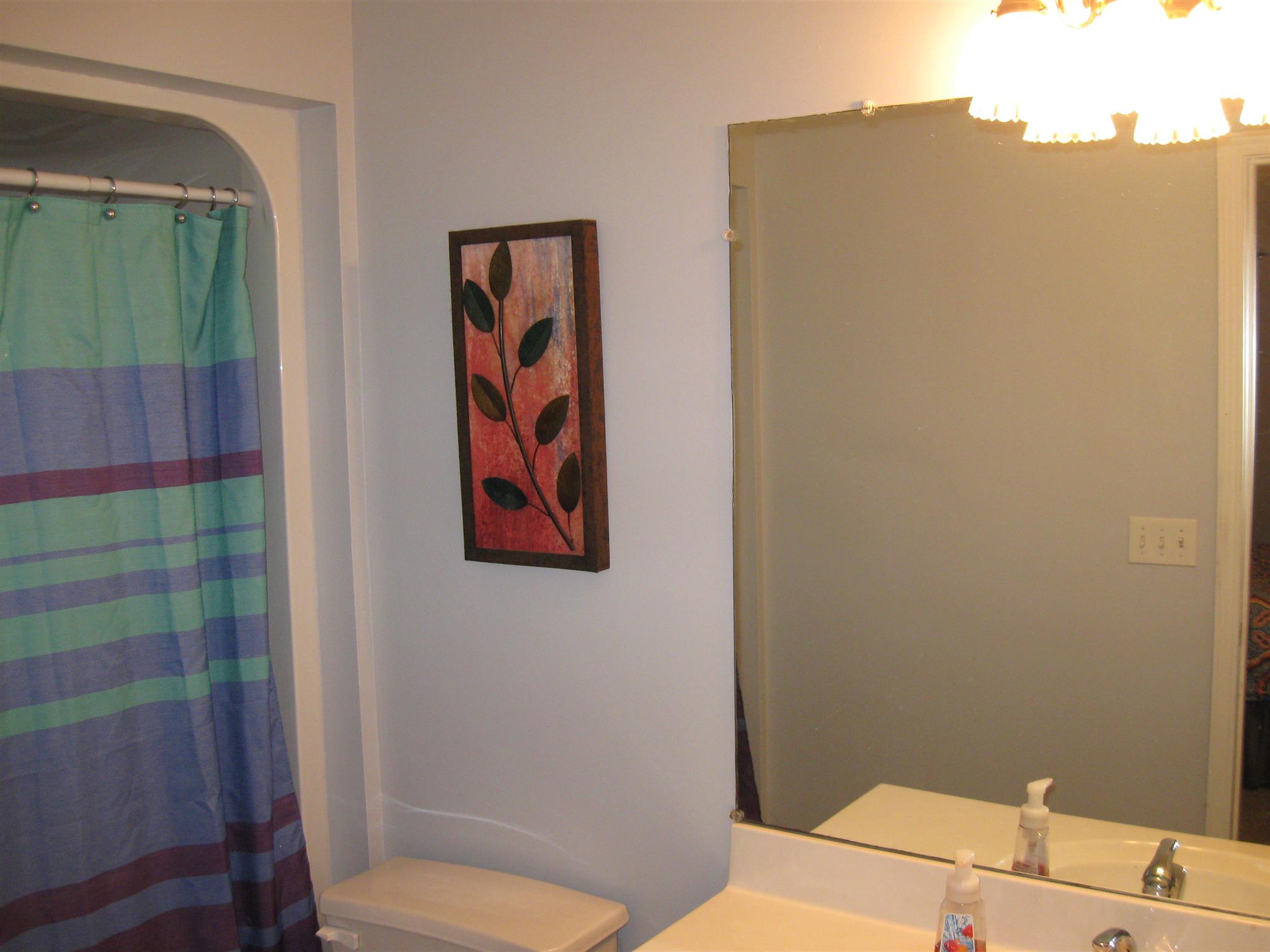 1204 East End Road Manchester, TN 37355 - Photo 16 of 27 Master bathroom with combo tub and shower.