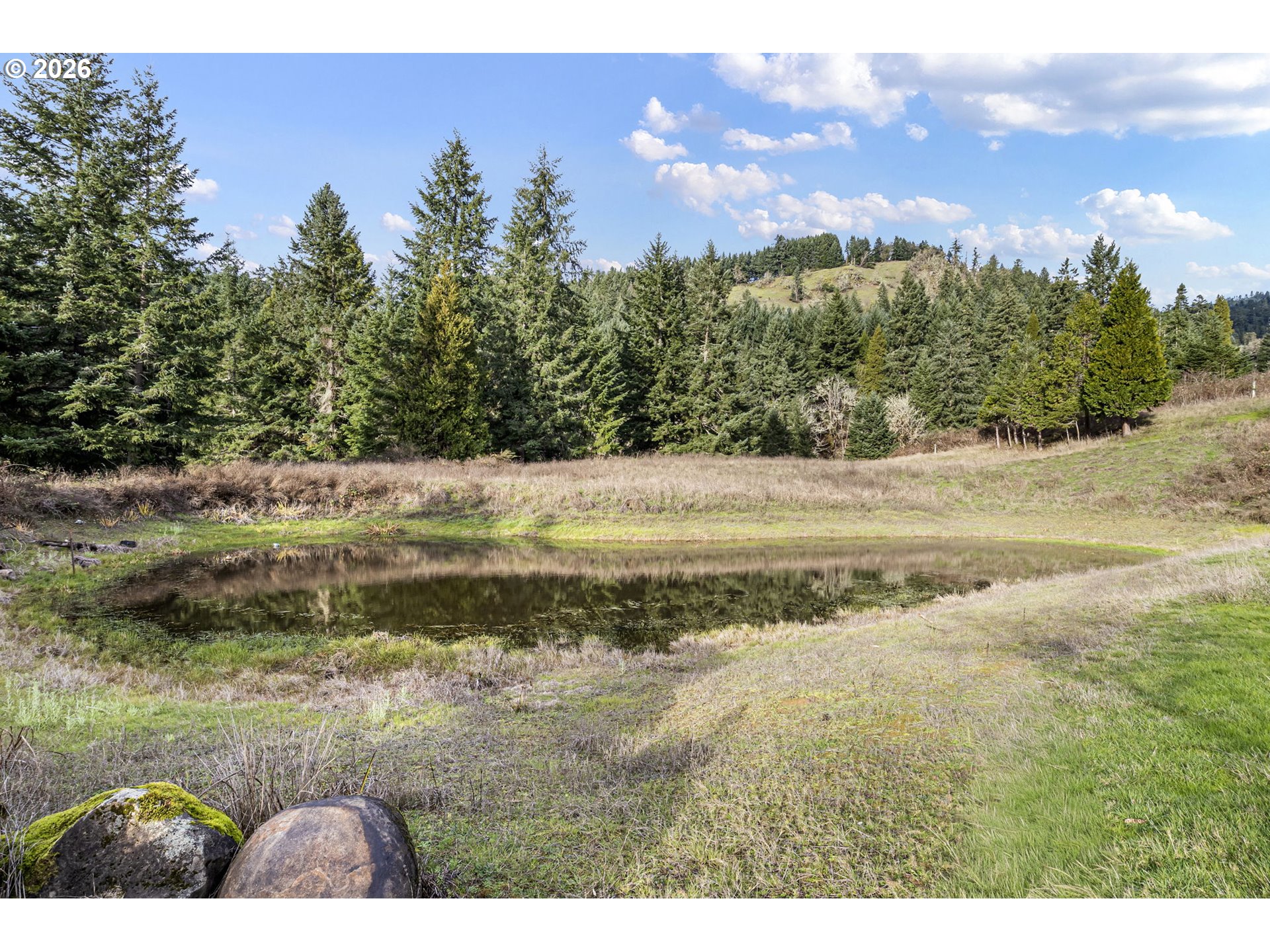 302 Scott Road Oakland, OR 97462 - Photo 12 of 48