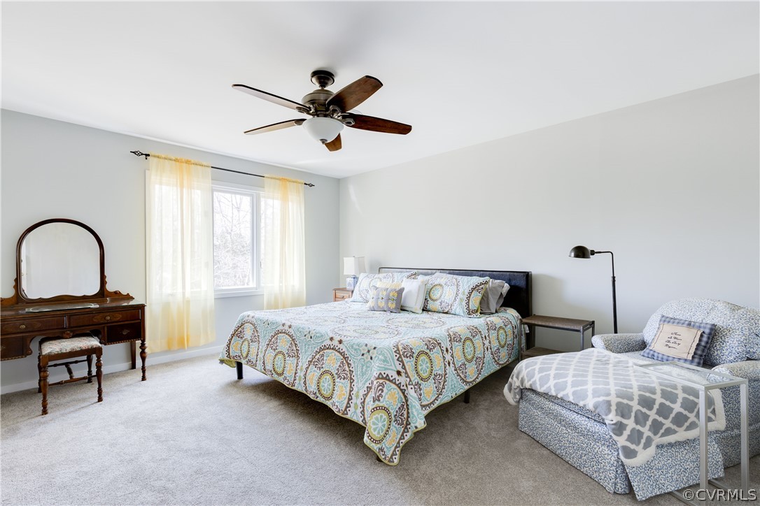 14011 Copper Hill Road Midlothian, VA 23112 - Photo 17 of 30 master bedroom