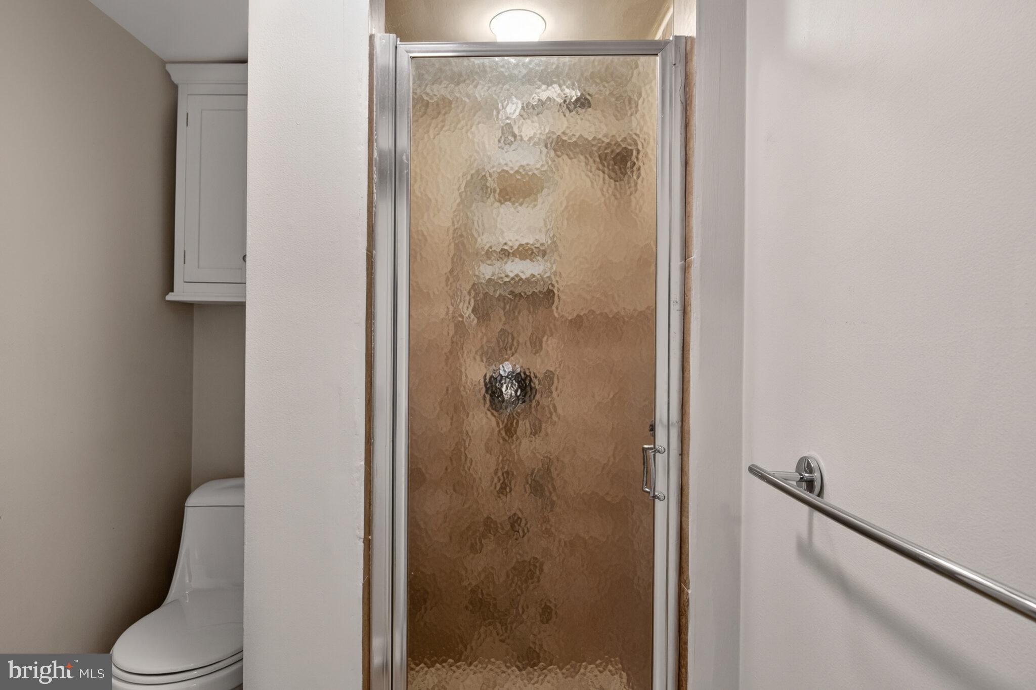 302 N Street Southwest, Unit 302 Washington, DC 20024 - Photo 31 of 68 a bathroom with a shower and toilet