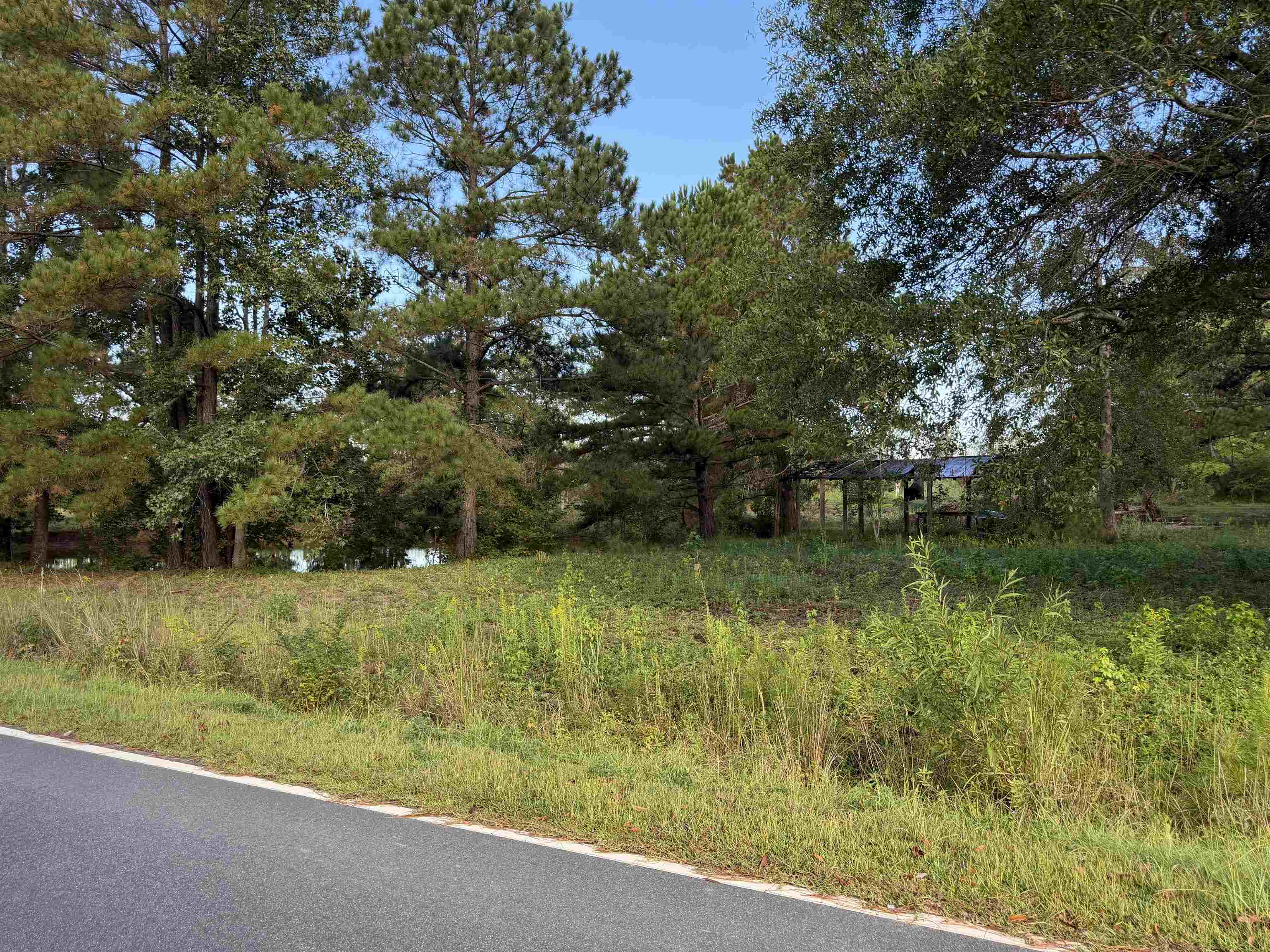 3 Wise Road Conway, SC 29526 - Photo 2 of 5 Gallery Image 2