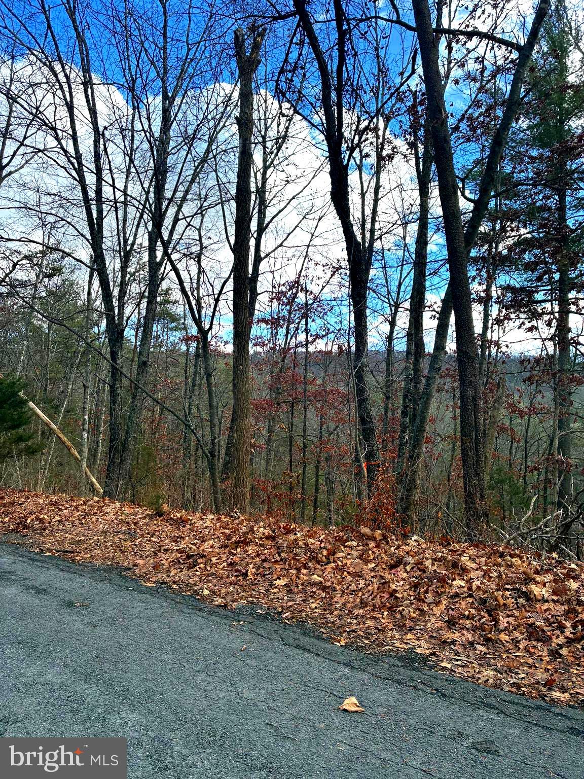 Spitz Lane Basye, VA 22810 - Photo 1 of 16