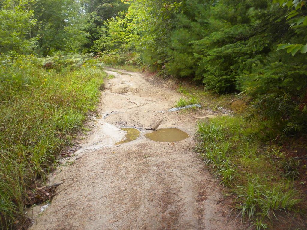 7 River Road Limington, ME 04049 - Photo 22 of 26 Photo
