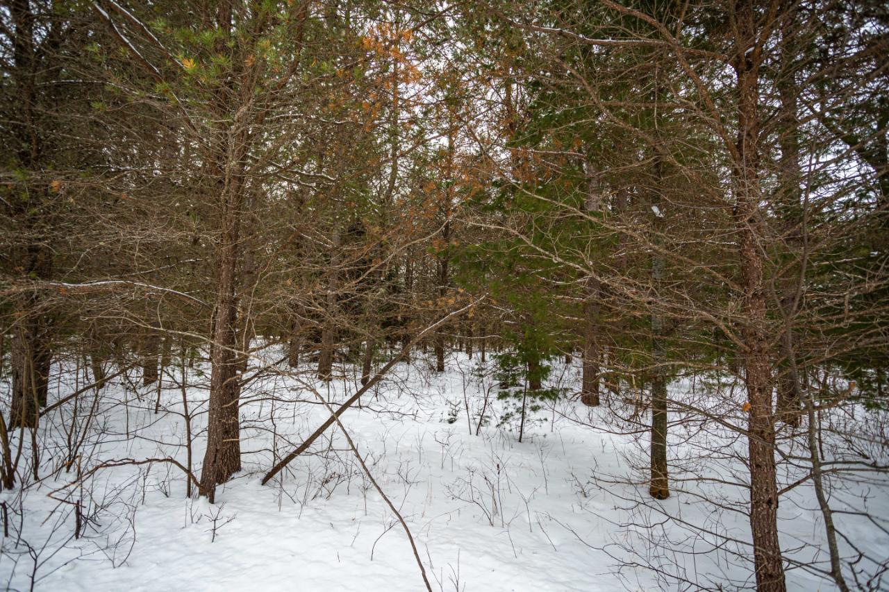 Lot 29 Loggers Run Road Eagle River, WI 54521 - Photo 9 of 11 Gallery Image 9