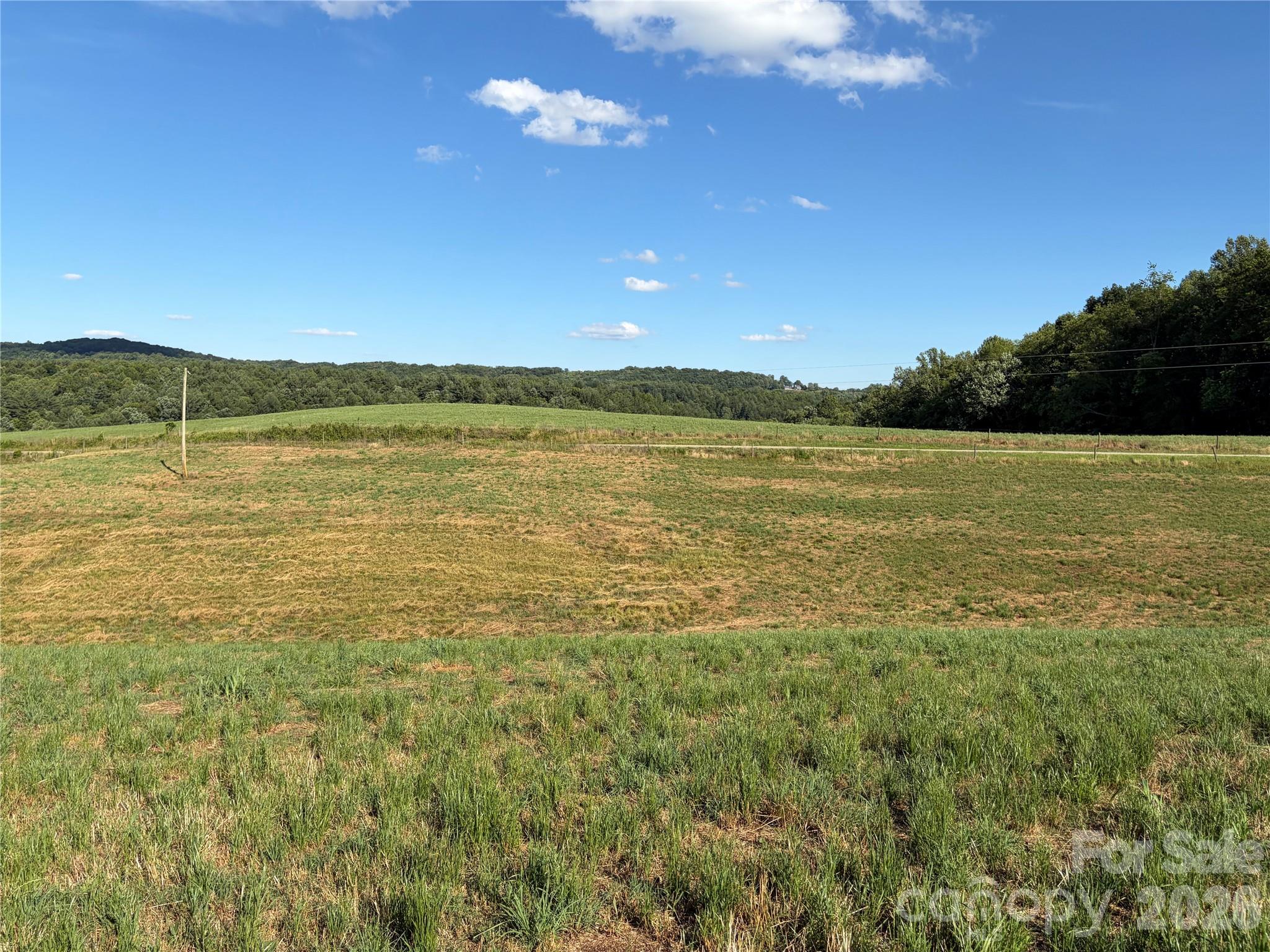 1779 Roundhill Church Road Traphill, NC 28685 - Photo 29 of 41