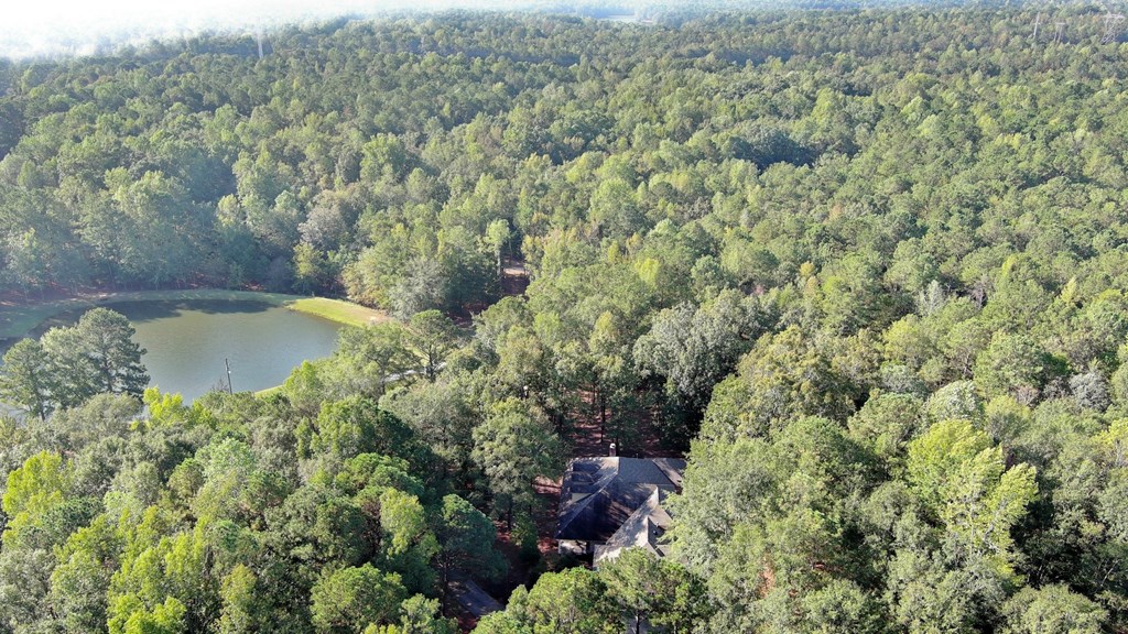 11043 Warm Springs Road Midland, GA 31820 - Photo 47 of 49 Gallery Image 47