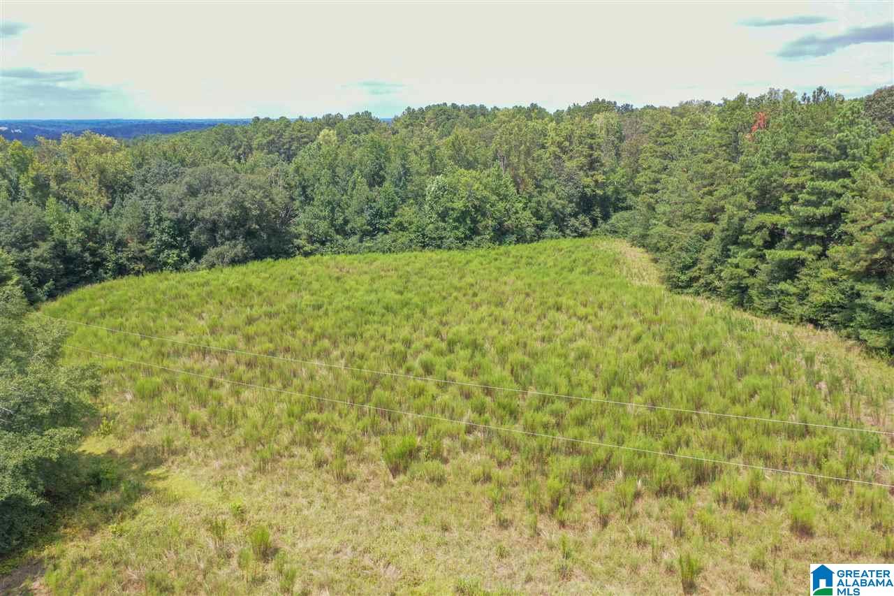 378 Old Mill Road Blountsville, AL 35031 - Photo 4 of 10