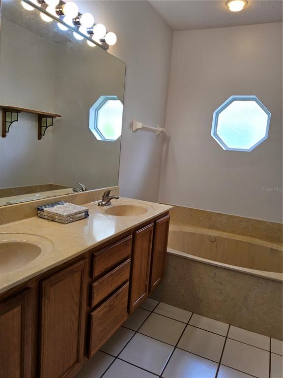 8023 St Andrews Way Mount Dora, FL 32757 - Photo 13 of 28 a bathroom with a sink a vanity and a mirror
