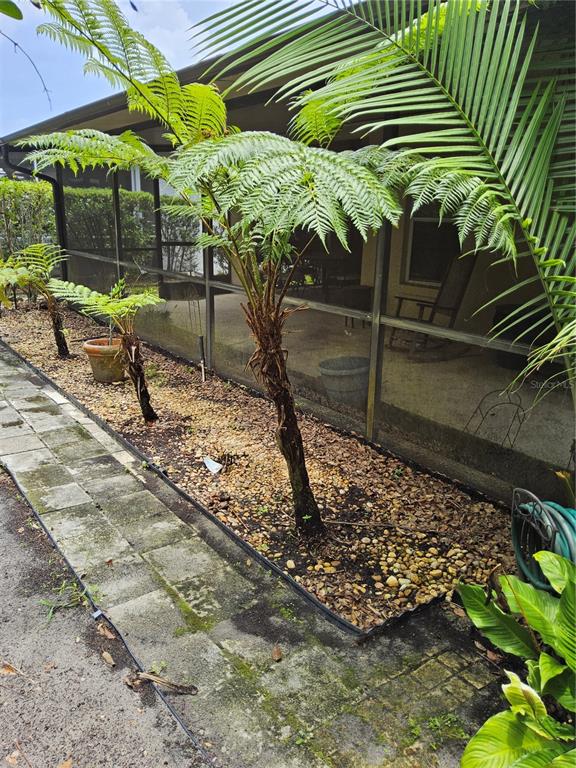 8023 St Andrews Way Mount Dora, FL 32757 - Photo 28 of 28 a view of a backyard with plants