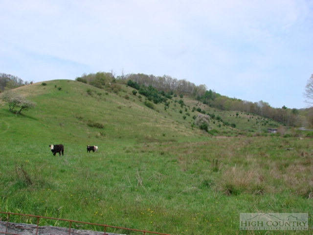 0 Jerd Branch Road Lansing, NC 28643 - Photo 11 of 13
