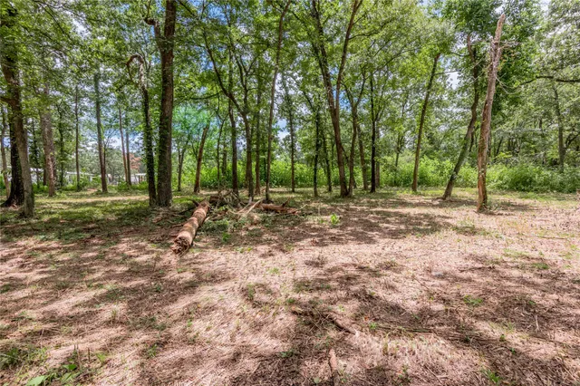 a view of outdoor space with trees