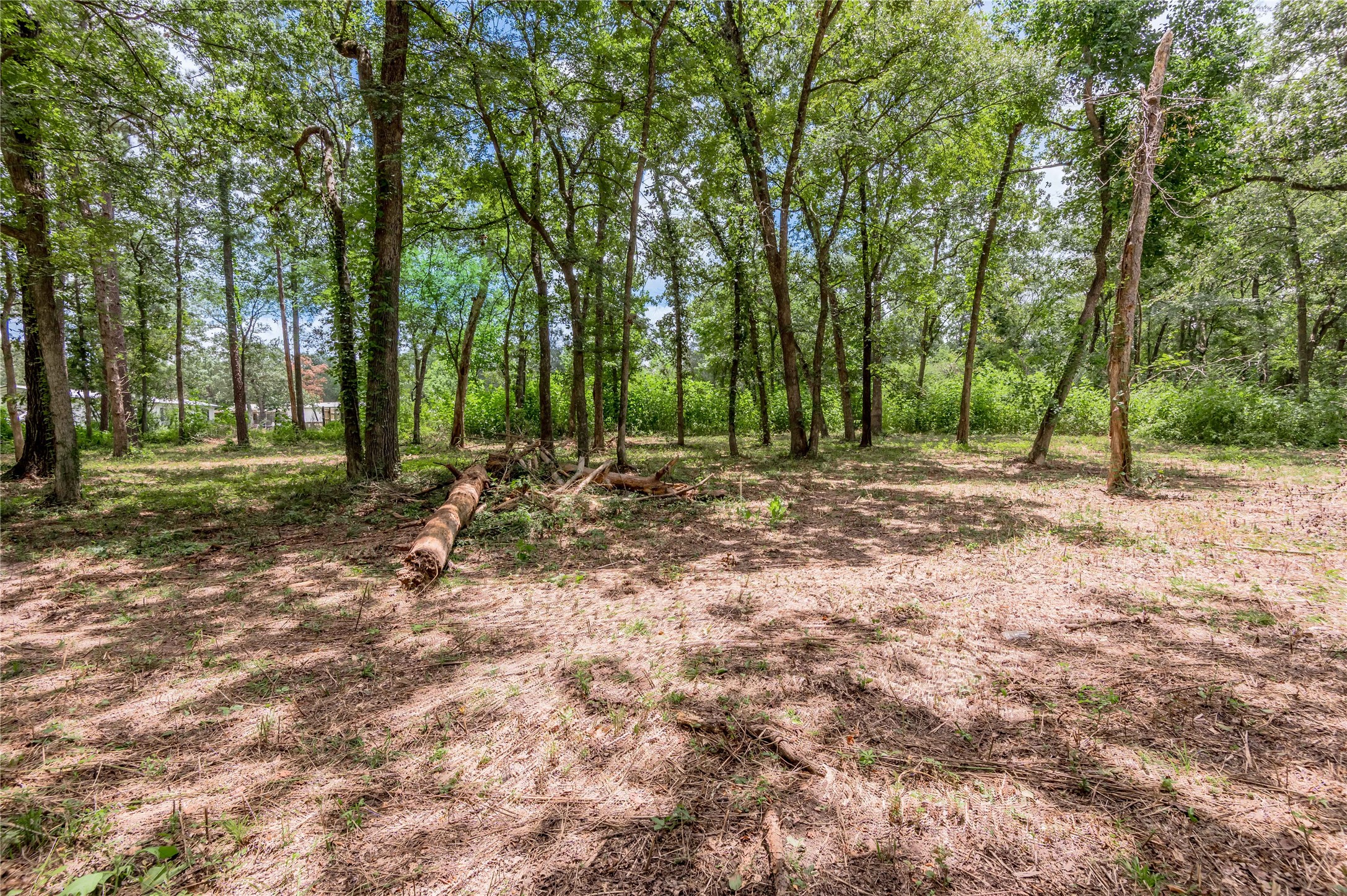 7 A Hickory Lane Huntsville, TX 77340 - Photo 27 of 36 a view of outdoor space with trees