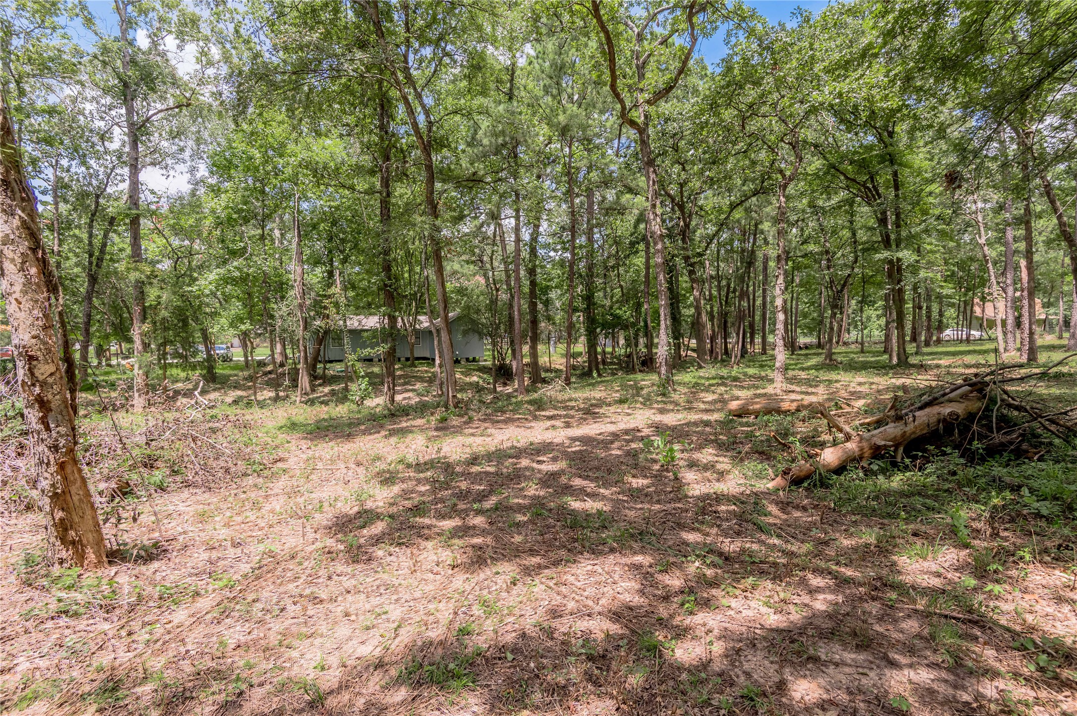 7 A Hickory Lane Huntsville, TX 77340 - Photo 28 of 36 a view of outdoor space with trees all around