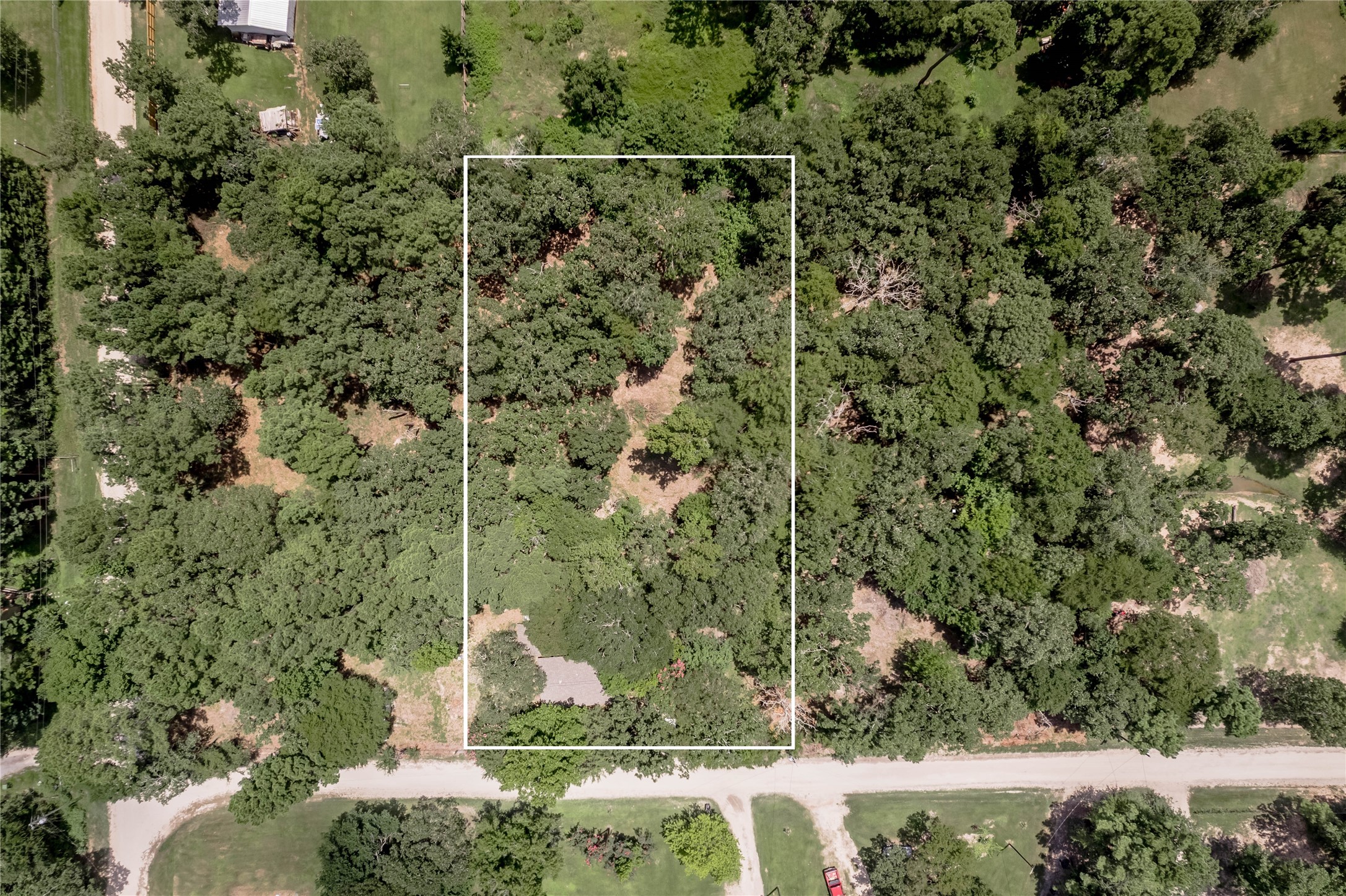 7 A Hickory Lane Huntsville, TX 77340 - Photo 36 of 36 a view of a forest with a bench