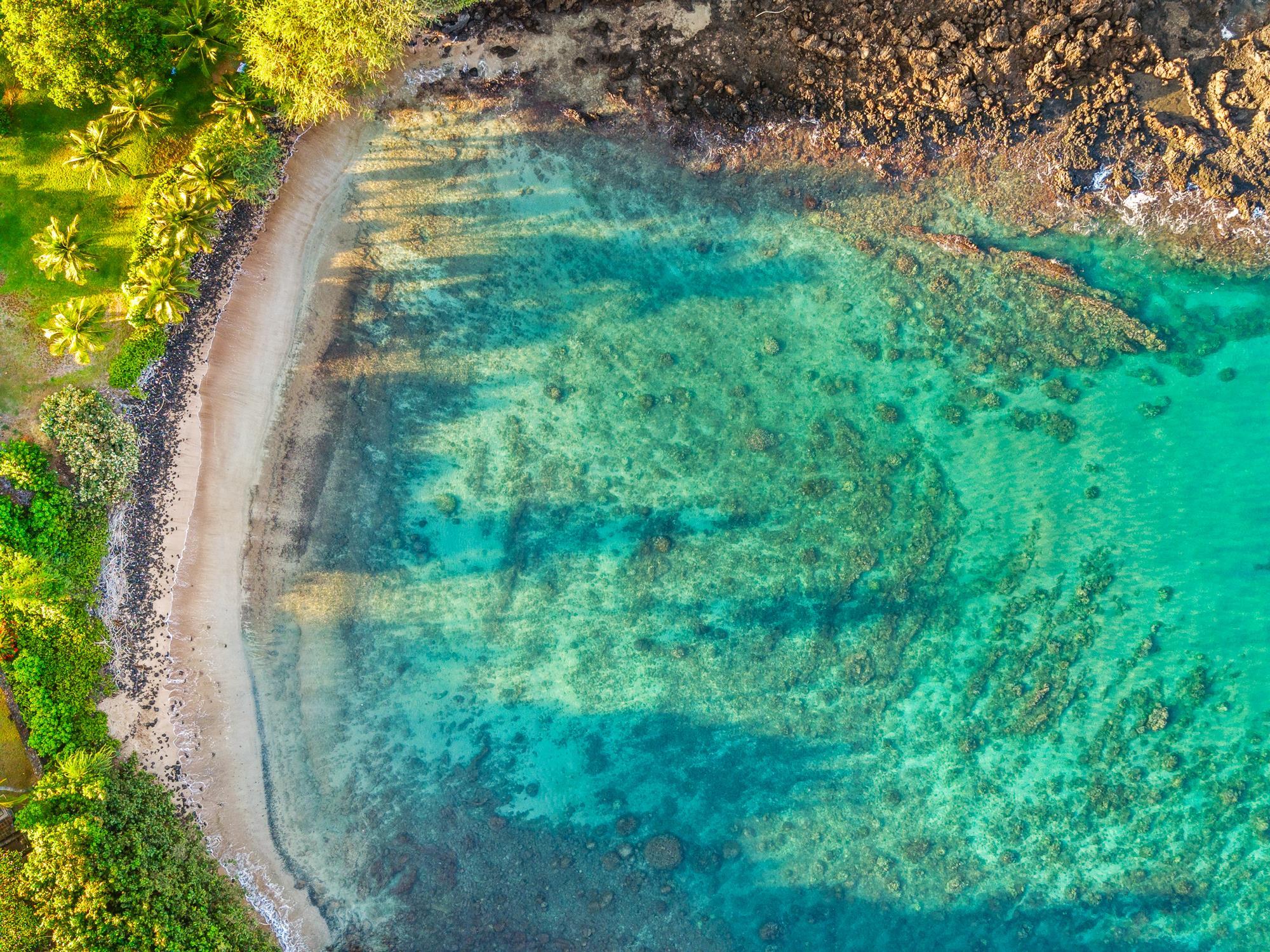 5147 Makena Road, Unit 5 Kihei, HI 96753 - Photo 11 of 18 a view of a garden