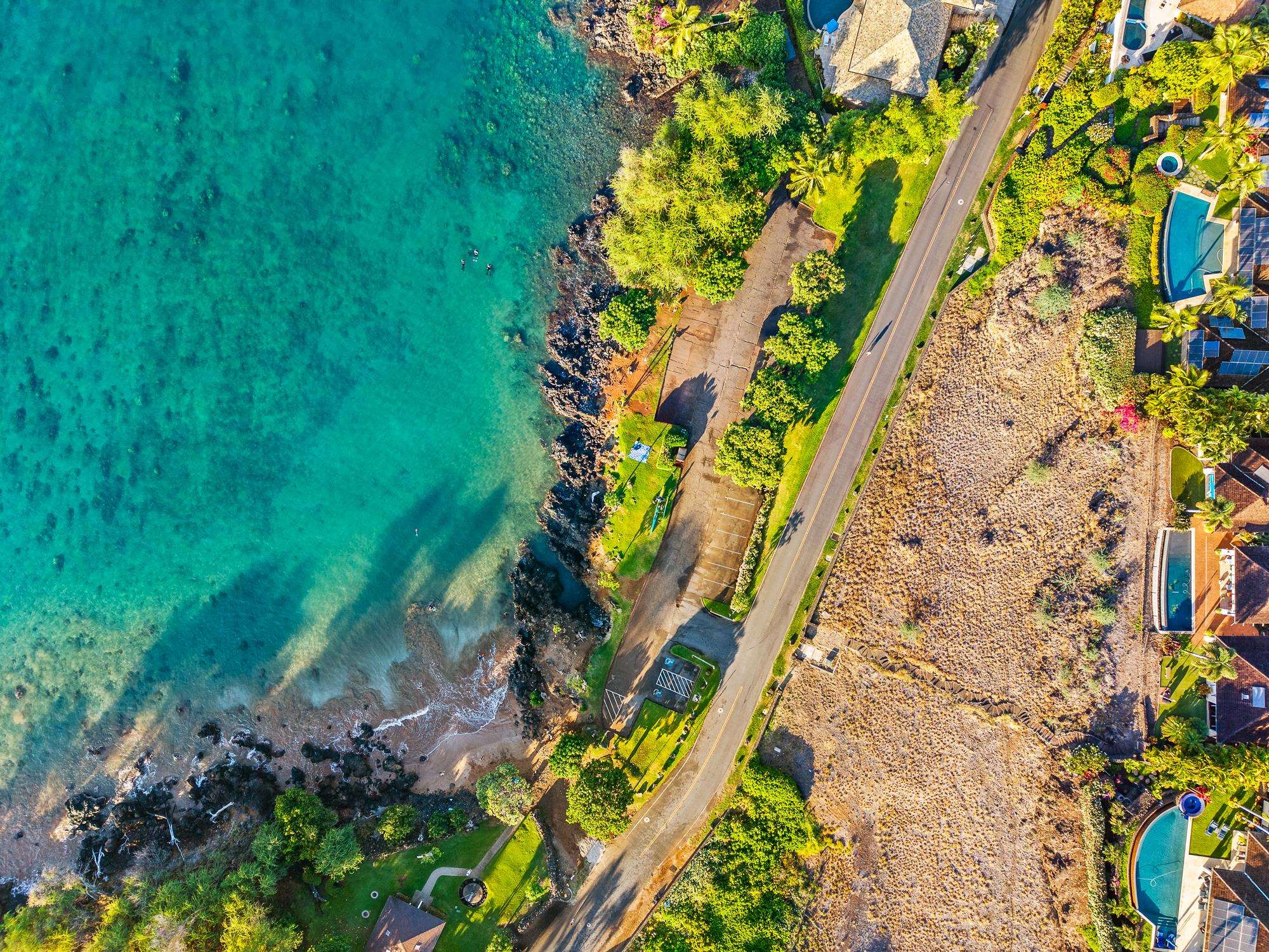 5147 Makena Road, Unit 5 Kihei, HI 96753 - Photo 9 of 18 a plant with lots of flowers