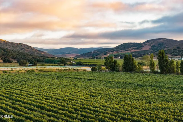 a view of a lush green hillside and houses