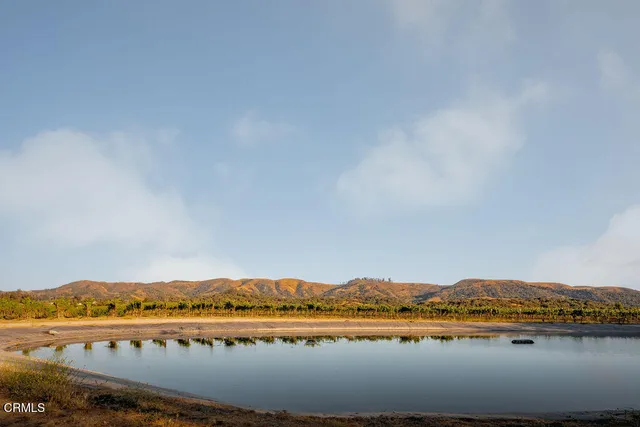 a view of a yard with plants and trees