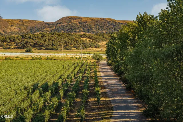 a view of an ocean and beach