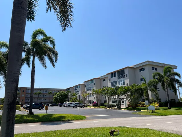 a view of street with palm trees