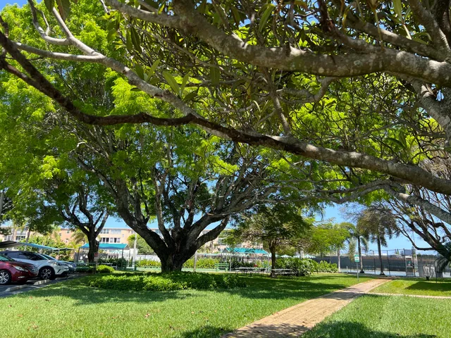 a tree in a garden with lots of trees