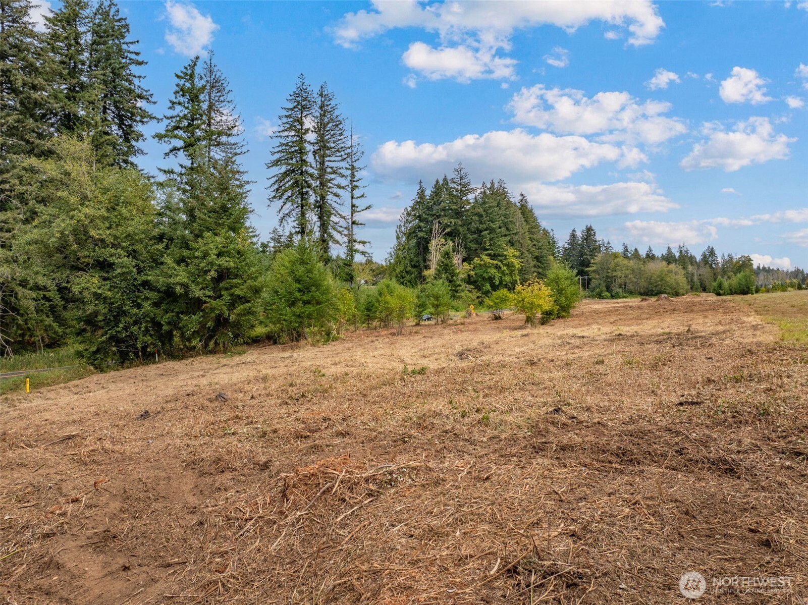 489 Yates Road Chehalis, WA 98532 - Photo 13 of 19 Gallery Image 13