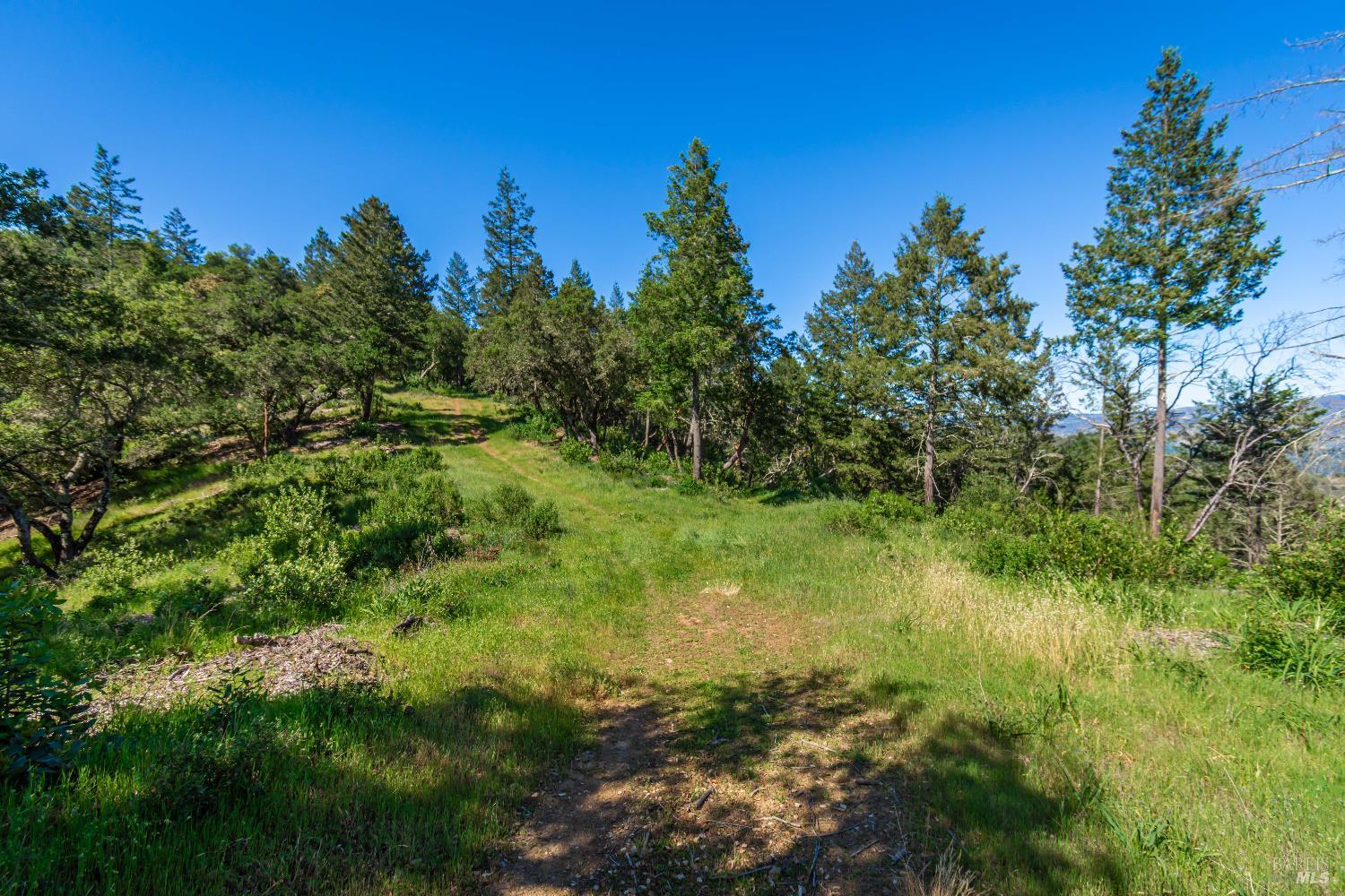 0 Dry Creek Road Napa, CA 94558 - Photo 80 of 98