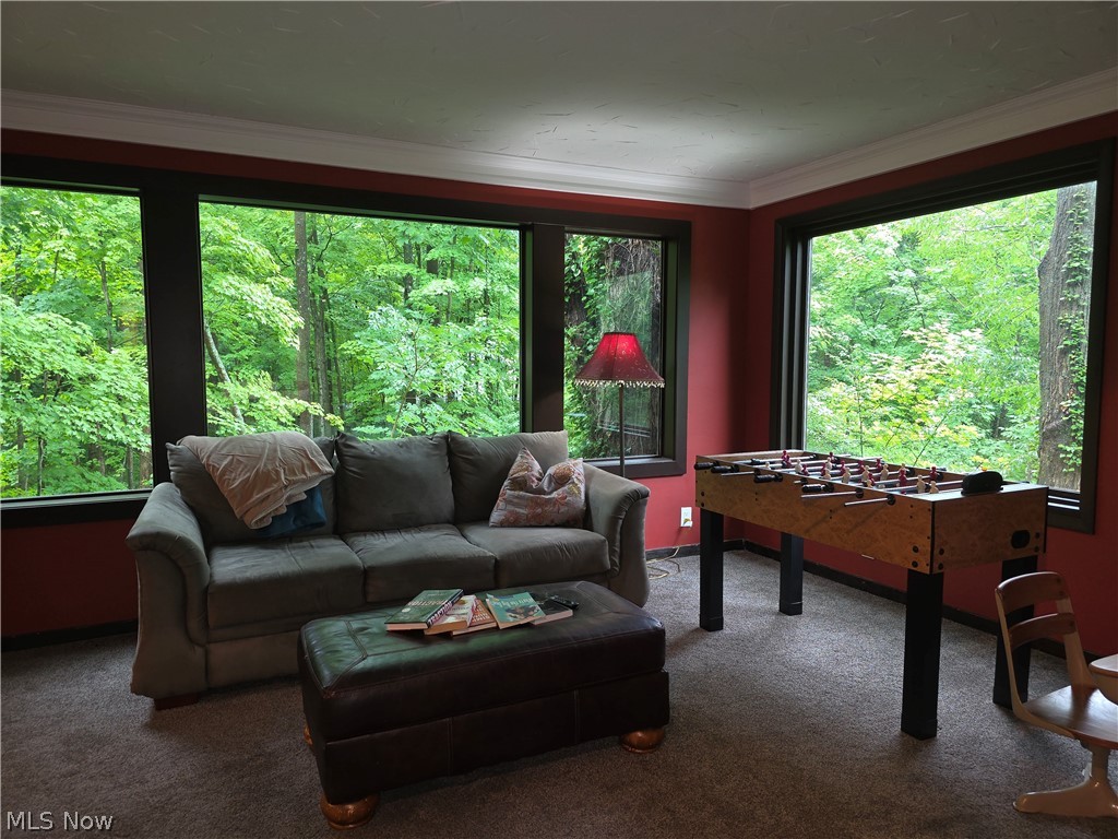2868 Shade Road Akron, OH 44333 - Photo 15 of 49