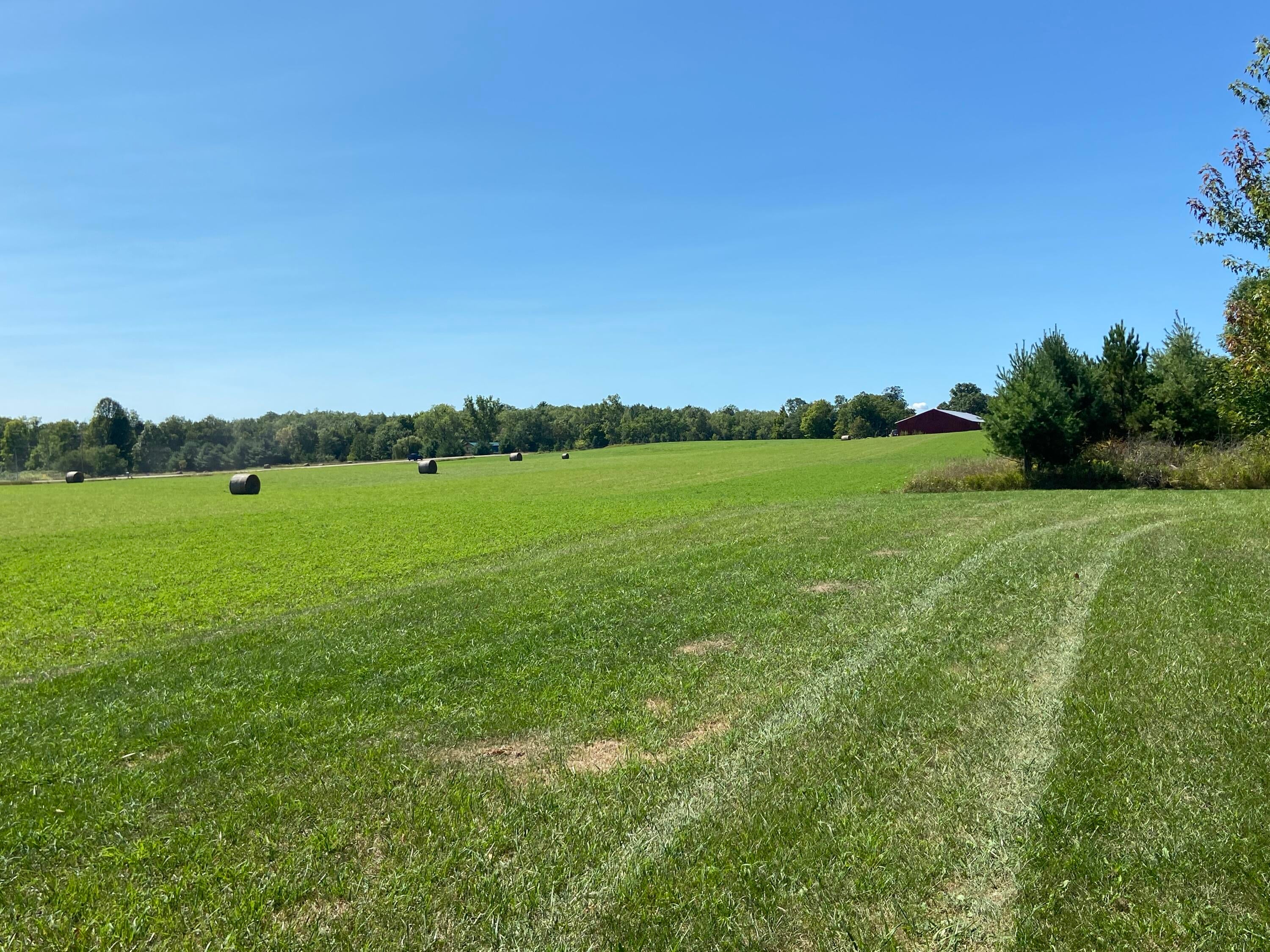 5310 Greenwood Road Gladwin, MI 48624 - Photo 96 of 138 Gallery Image 96