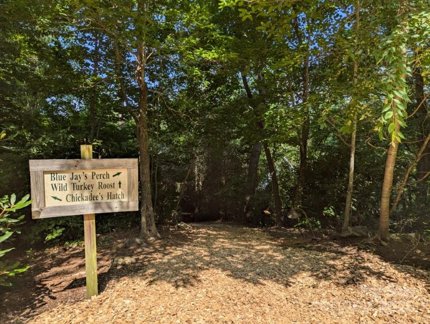 5 Chaucer Road Black Mountain, NC 28711 - Photo 5 of 48 a sign on the side of a road