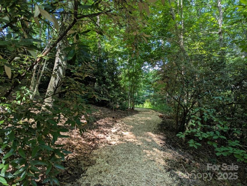 5 Chaucer Road Black Mountain, NC 28711 - Photo 7 of 48 a view of a forest with lots of trees