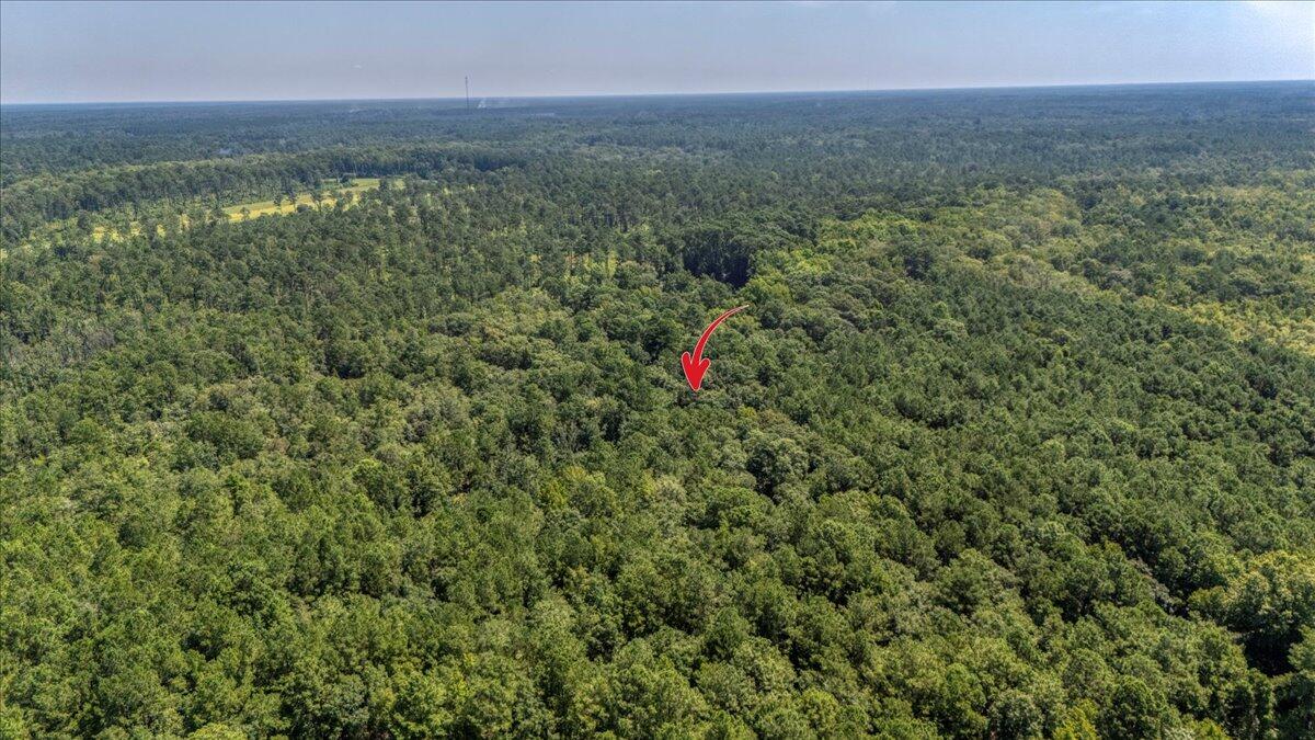 7799 Morris Bing Road Hollywood, SC 29449 - Photo 10 of 10 10-7799 Morris Bing Rd-10