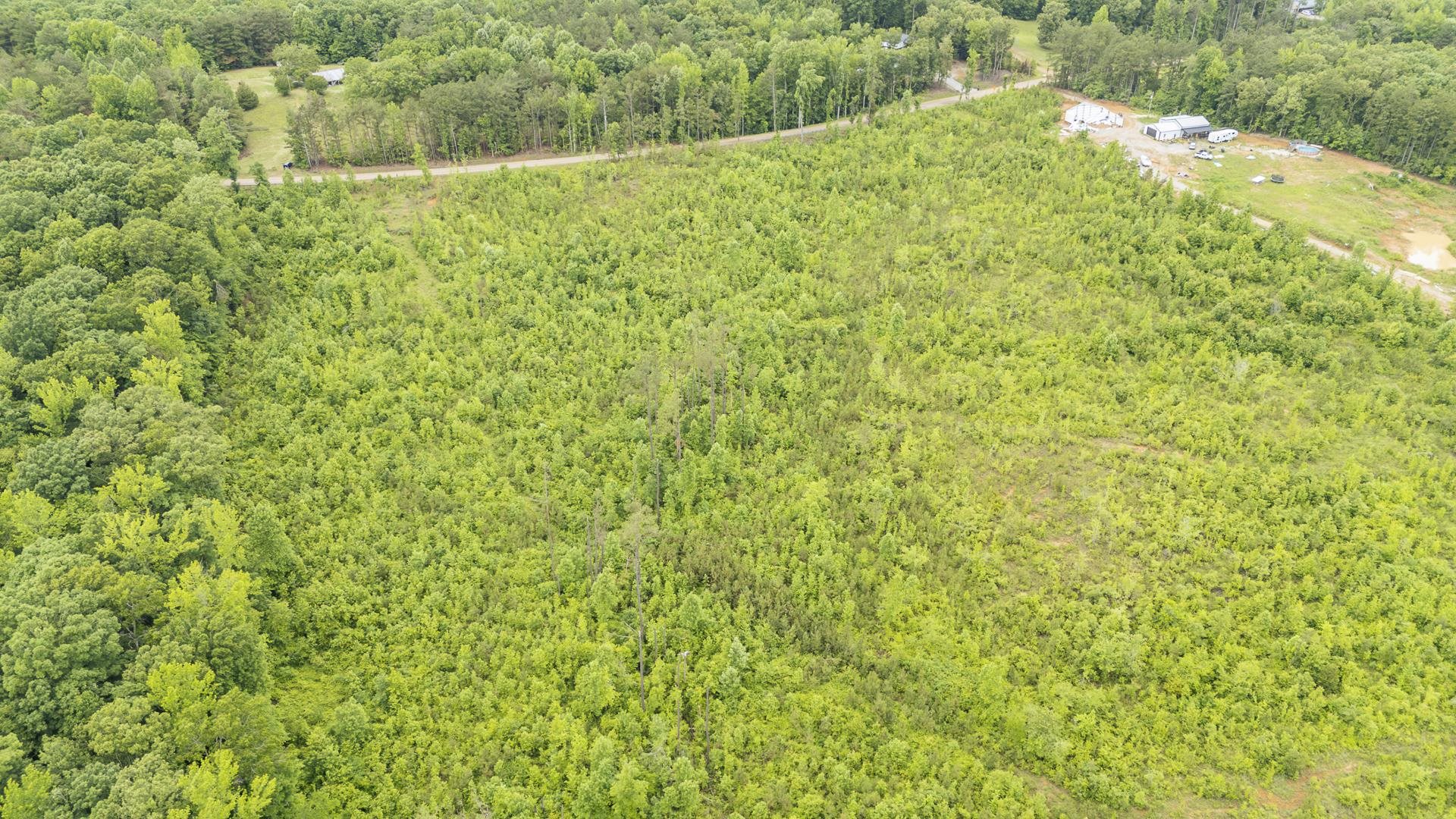 0 Leapwood Enville Road Adamsville, TN 38310 - Photo 21 of 38 a view of a big yard with plants and large trees