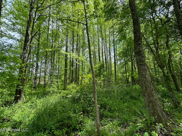 $292,300 | 0 Highway 440, West, MS 39192